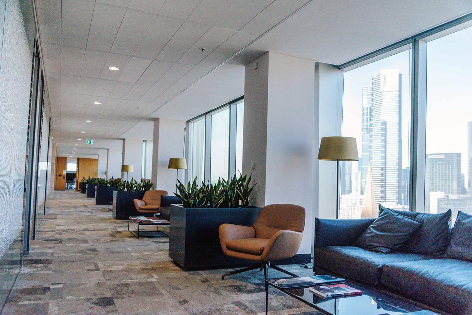 Corporate office corridor with plants in large planters