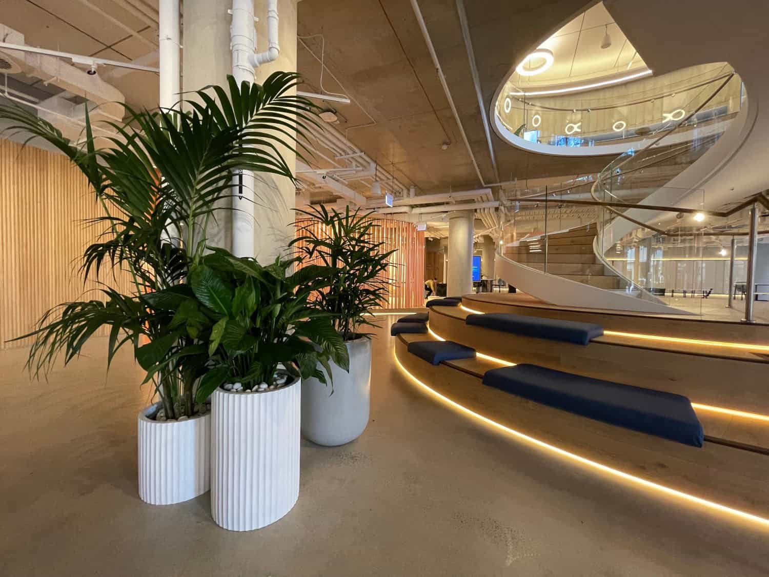 modern foyer with large indoor plants in big white planters