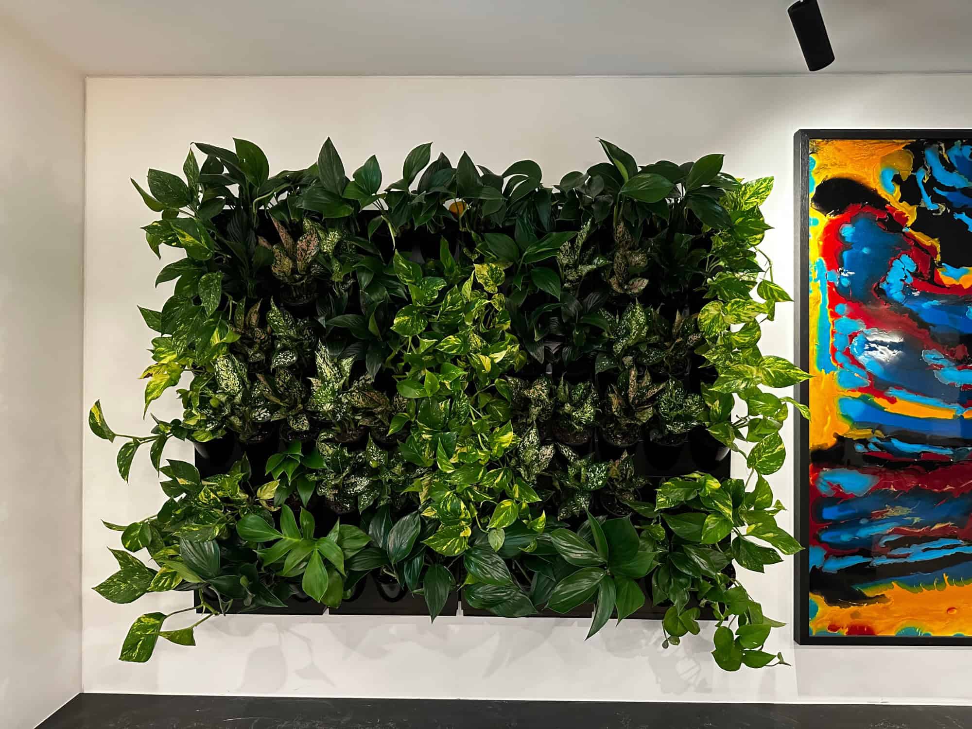 Green wall next to bold abstract art