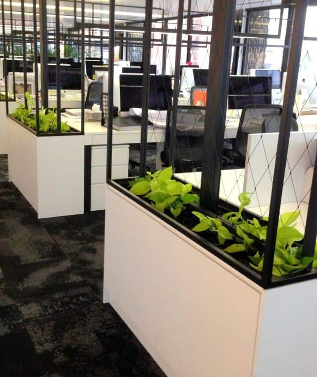 Plants in box planters being used to divide corporate office spaces